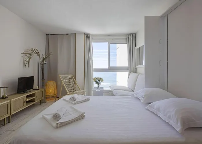 Superbe Studio Face A La Mer Acces Direct Plage