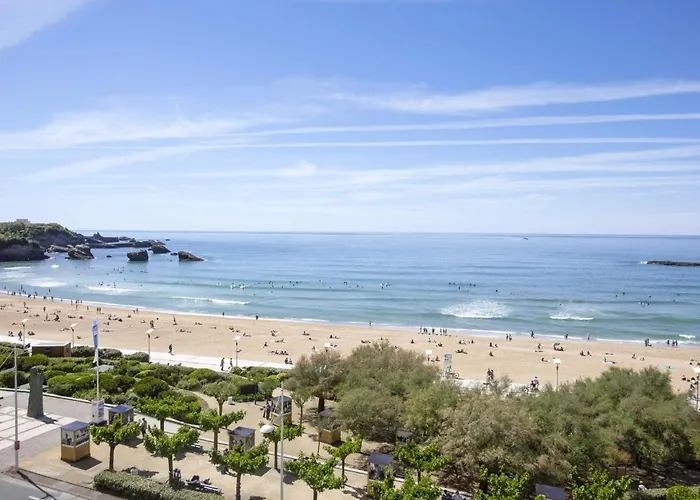 Superbe Studio Face A La Mer Acces Direct Plage
